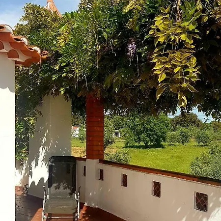 Проживание в семье Casa Do Cerrado Casal da Igreja