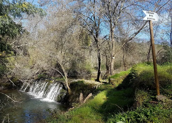 Casa Do Cerrado Проживание в семье