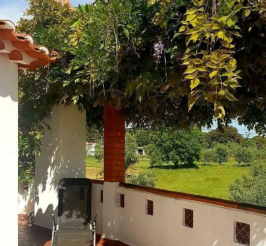 Accommodatie bij particulieren Casa Do Cerrado Casal da Igreja